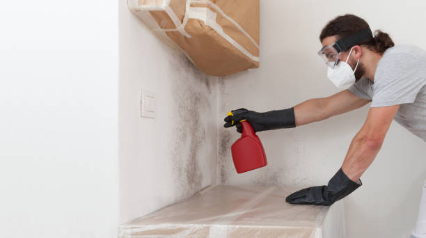 Professional Mold Testing technician working in Garrett, WA