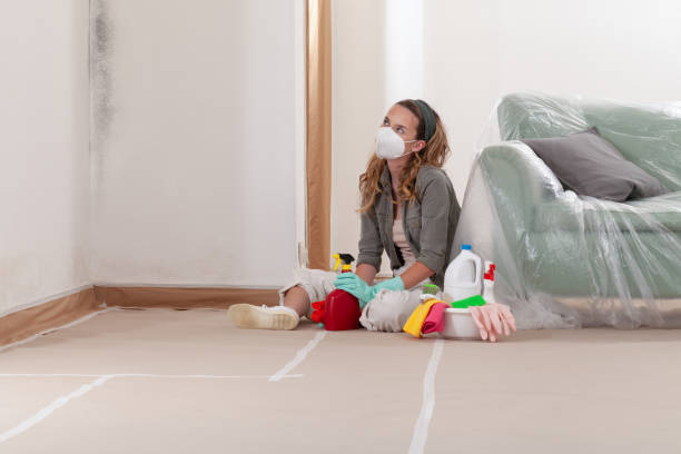 Reliable Mold Testing contractor in Garrett, WA by WQB Mold Removal