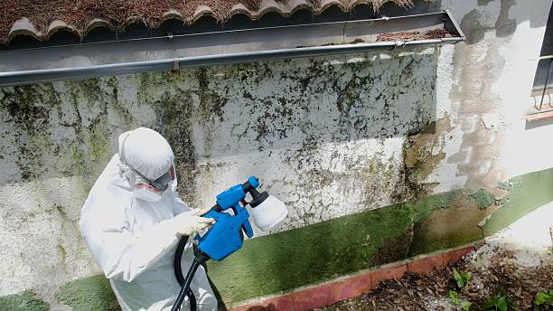 Top rated local Mold Testing specialists in Garrett, WA